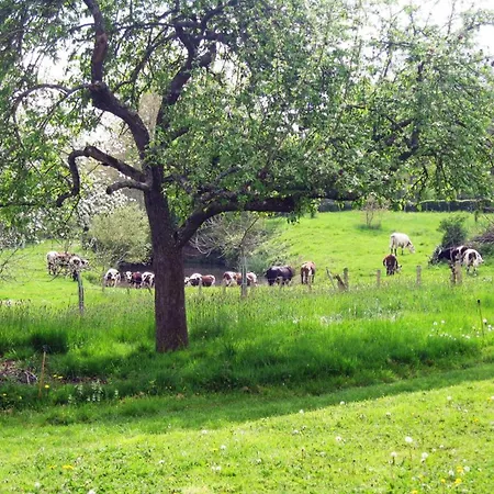 Maison Spacieuse Avec Piscine Couverte Et Wifi A - Fr-1-497-46 Feriehus