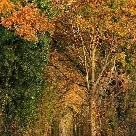 Maison Spacieuse Avec Piscine Couverte Et Wifi A - Fr-1-497-46 Feriehus