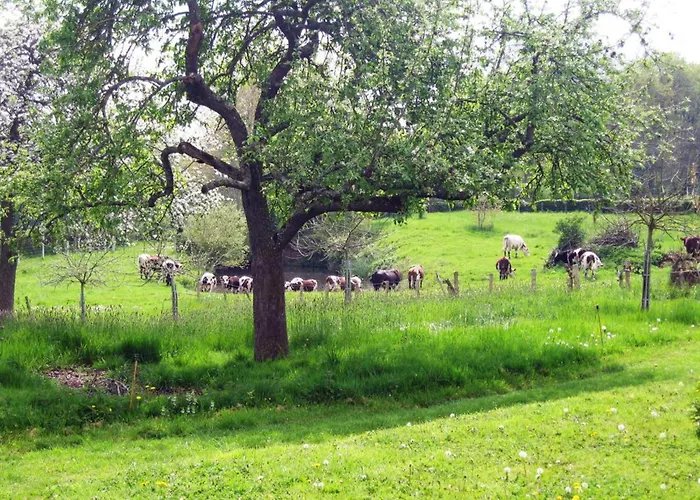 Maison Spacieuse Avec Piscine Couverte Et Wifi A - Fr-1-497-46 Ferienhaus