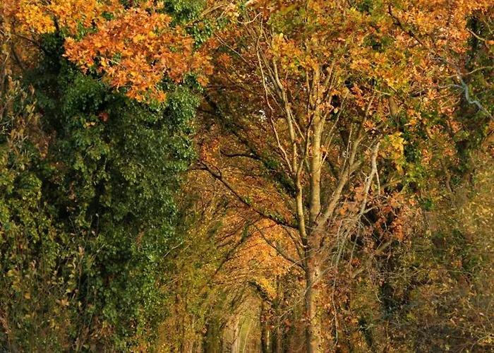 Maison Spacieuse Avec Piscine Couverte Et Wifi A - Fr-1-497-46 Ferienhaus